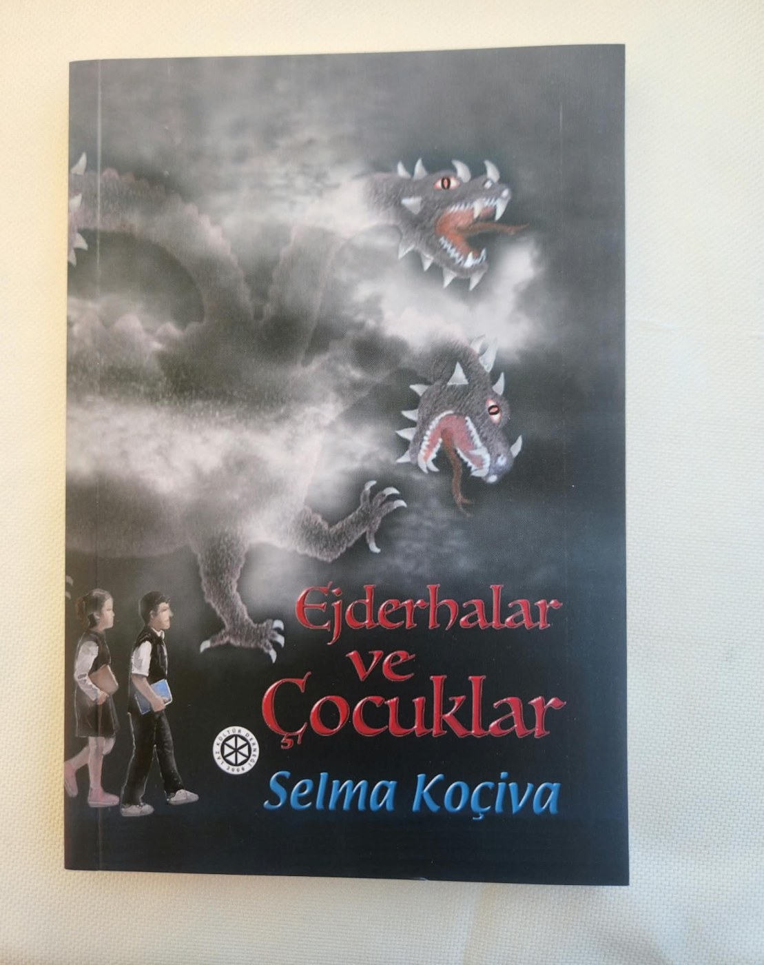 Ejderhalar ve Çocuklar — ön kapak